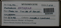 Image Associated With the Occurence